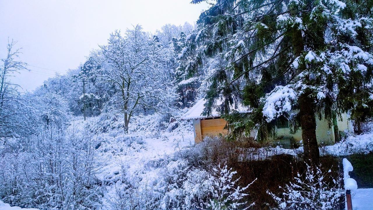 Giusvalla Forest Village Dego Exterior foto